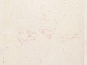 Rosaliabej | Granit Mermer Cesitleri Ankara