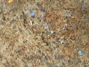 Antiklabrador | Granit Mermer Ankara