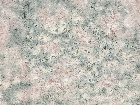 Balaflowerindia | Granit Mermer Ankara