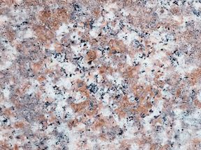 Coralmistindia Granit | Mutfak Tezgahi Ankara