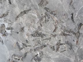 Matrix | Granit Mermer Fiyatlari Ankara