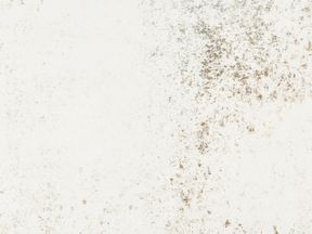 Nilium | Granit Tezgah Modelleri Ankara